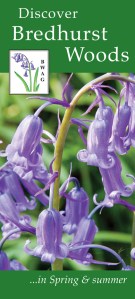 Bredhurst Woods leaflet