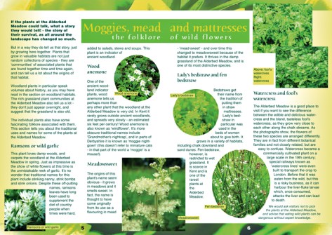 Two A5 booklet pages