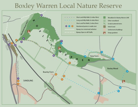 countryside site map - boxley