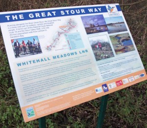 Frameless panel on steel posts