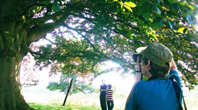 Wild Sites on your Doorstep